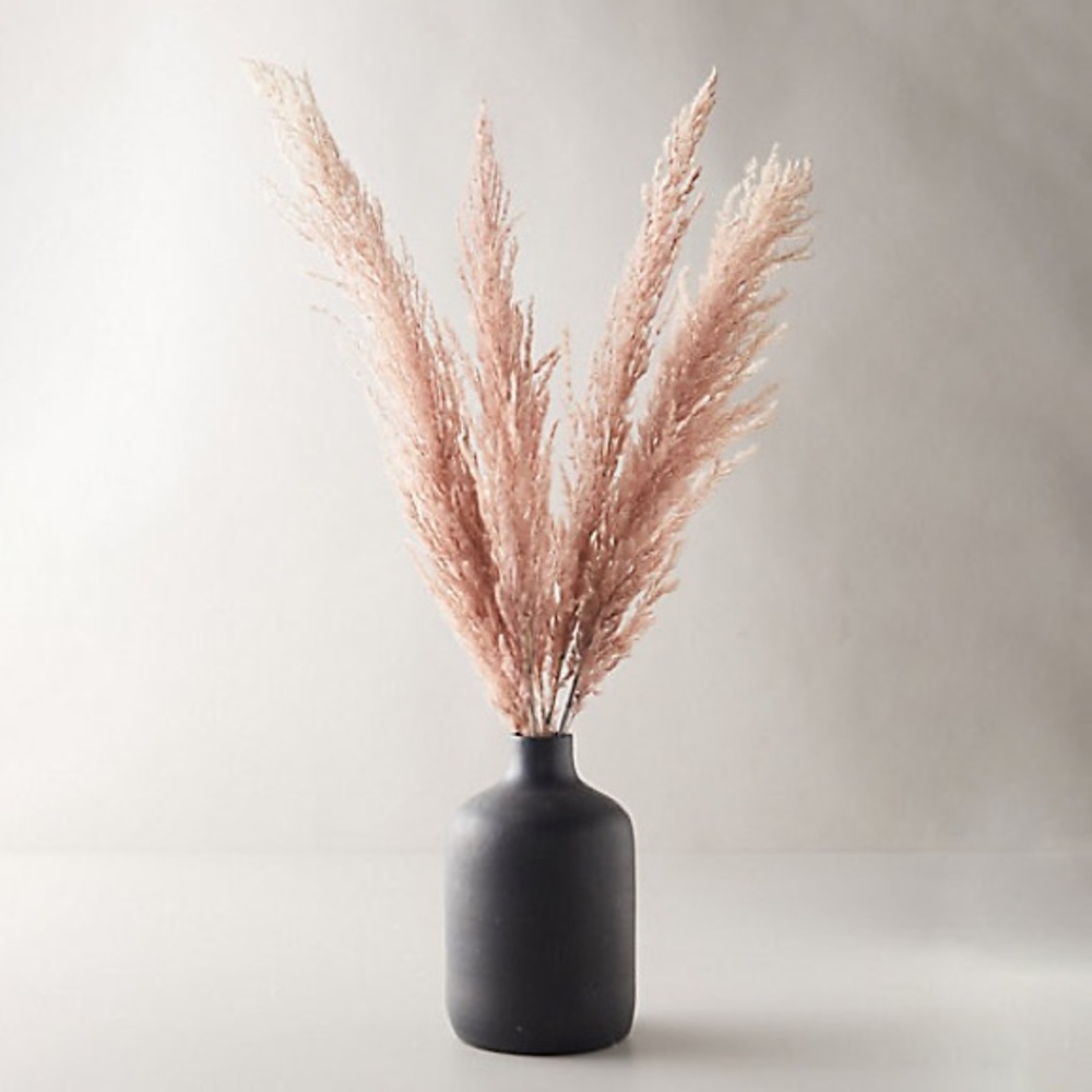 Anthropologie urban outfitters new Preserved pampas grass pink nwt